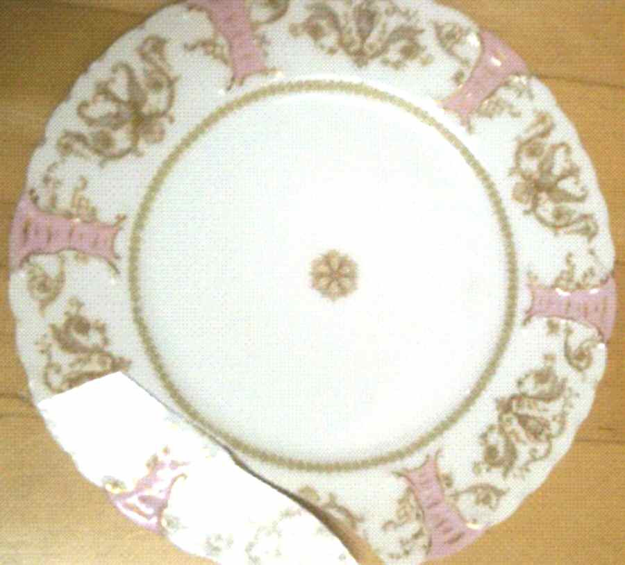 H4172 Dinner Plate by Haviland-1