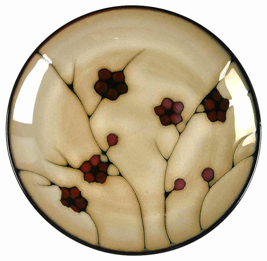 Desert Floral Salad Plate by Home-1