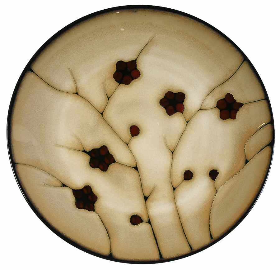 Desert Floral Dinner Plate by Home-1