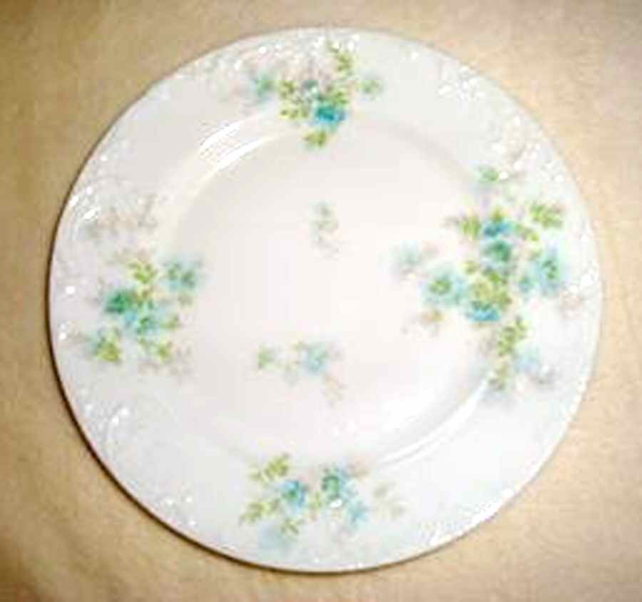 Schleiger 35-2 Dinner Plate by Haviland-1