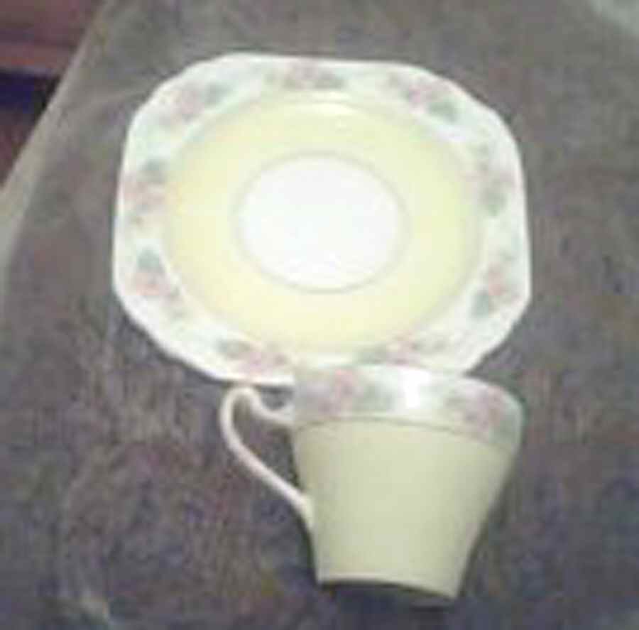 Spring Flat Cup & Saucer Set by Heathcote-1
