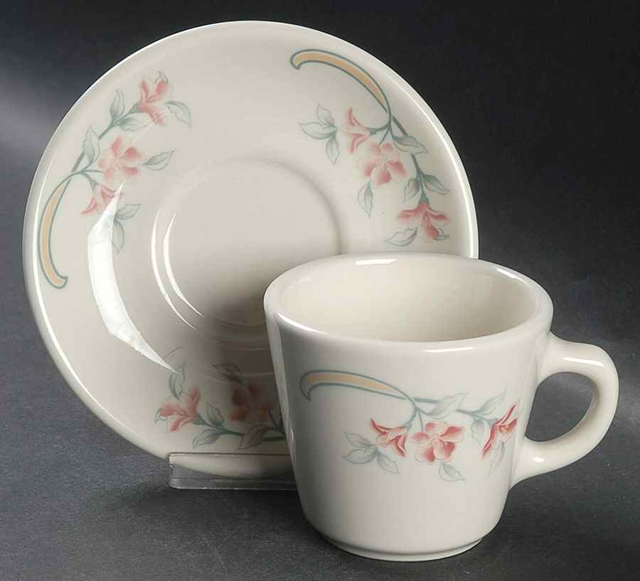Pink Sage (Restaurant) Flat Cup & Saucer Set by Homer Laughlin -1