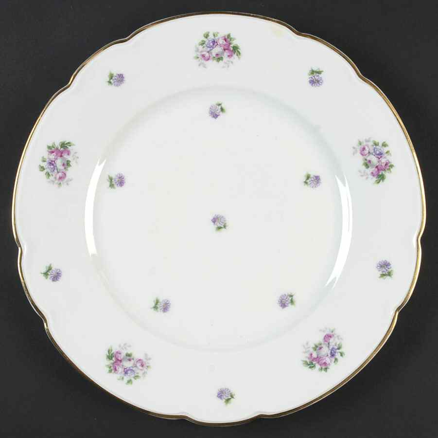 HUT2045 Dinner Plate by Hutschenreuther-1