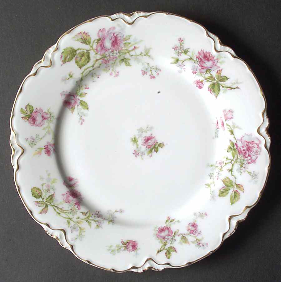 Schleiger 1145-6 Salad Plate by Haviland-1