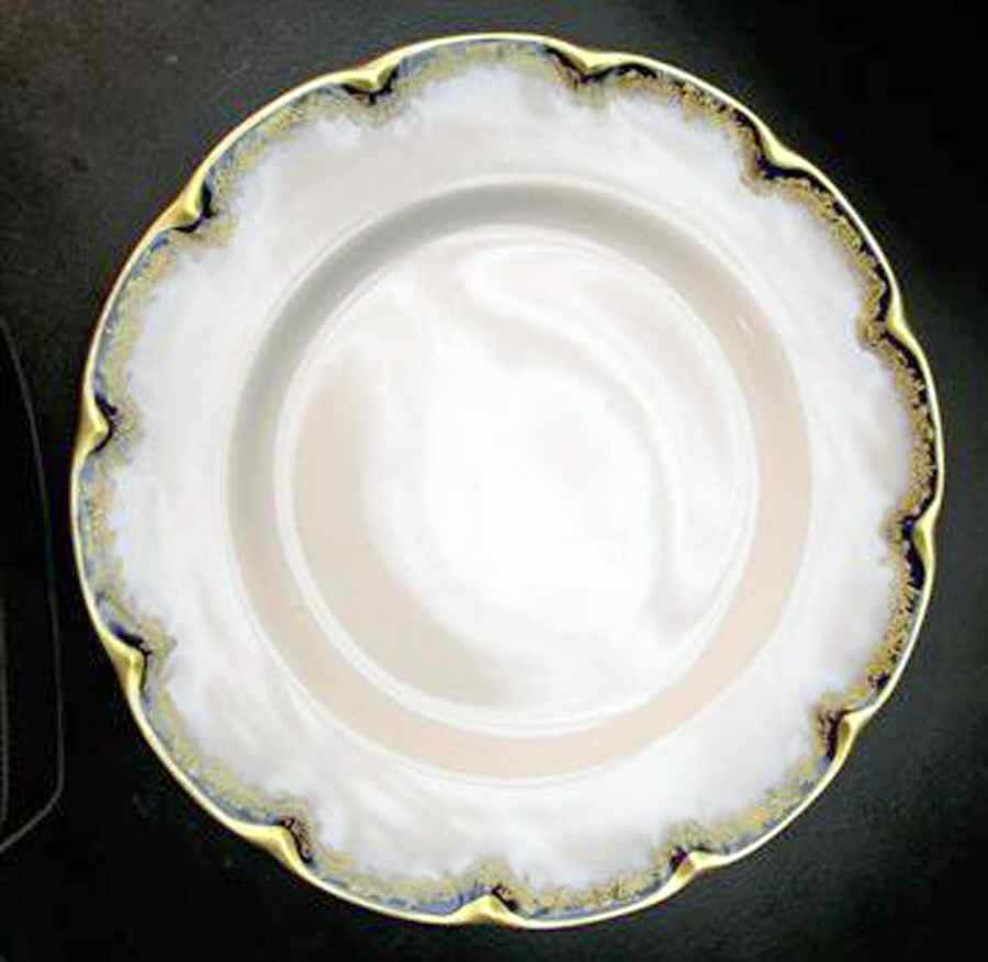 H4175 Dinner Plate by Haviland-1