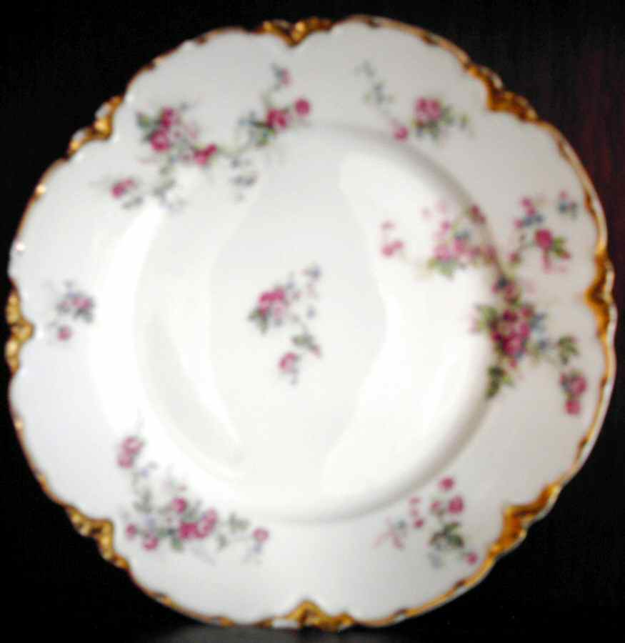 Schleiger 681-2 Salad Plate by Haviland-1