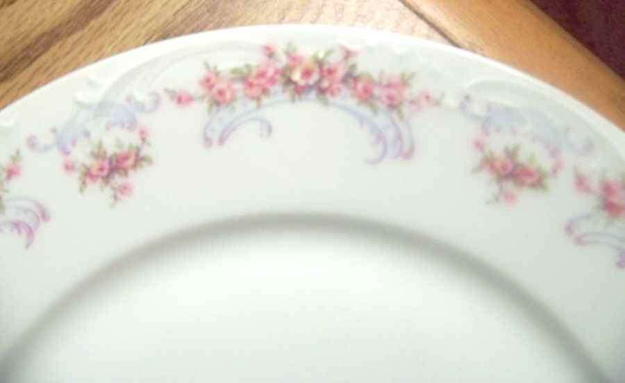 Schleiger 852-3 Dinner Plate by Haviland-1