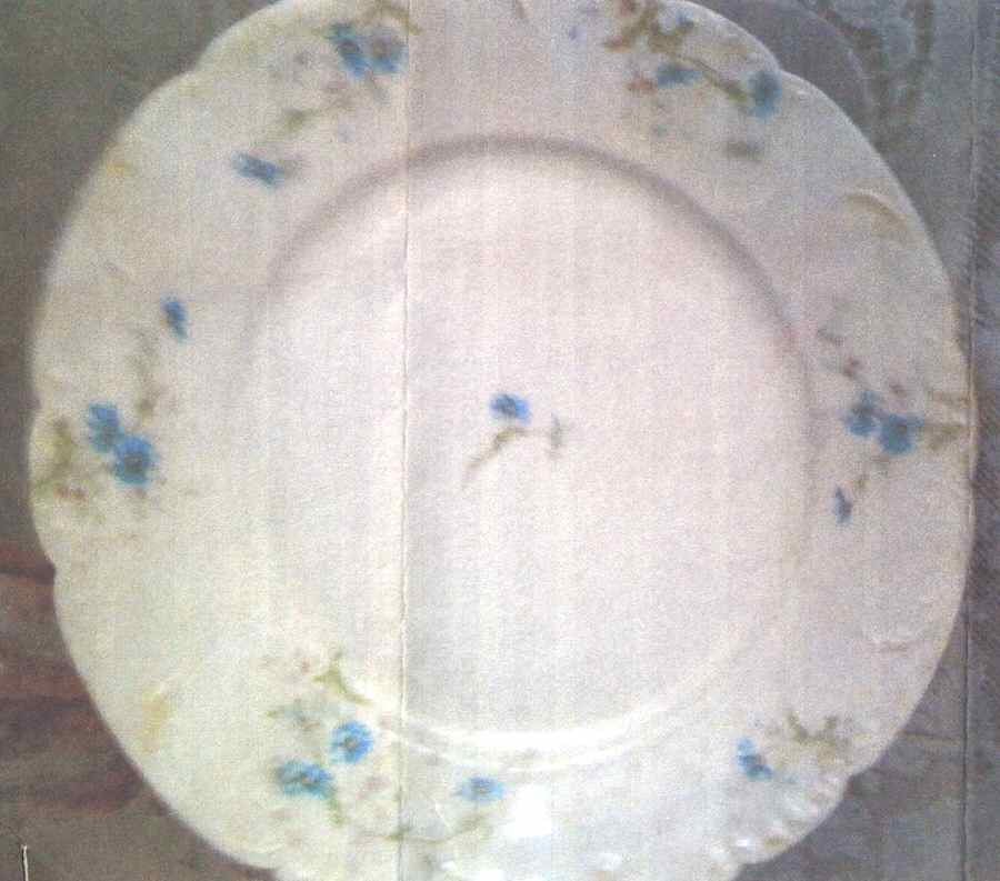 Schleiger 1034-10 Dinner Plate by Haviland-1