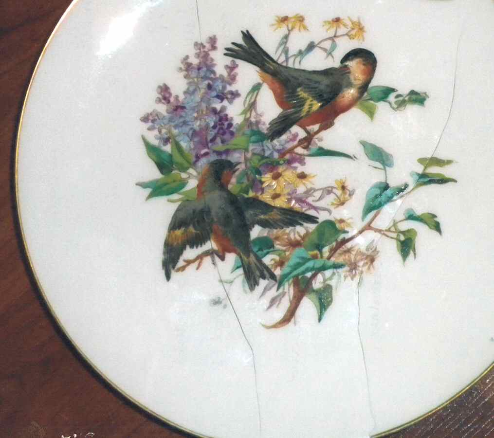 H4186 Salad Plate by Haviland-1