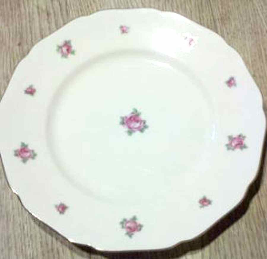 19880 Dinner Plate by Hutschenreuther-1