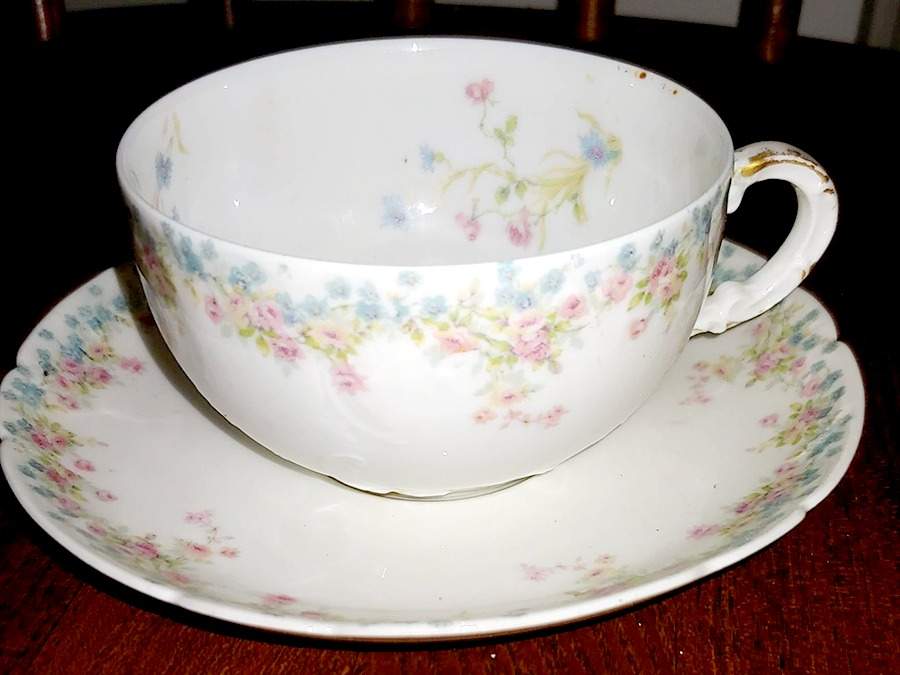 Schleiger 610-3 Flat Cup & Saucer Set by Haviland-1