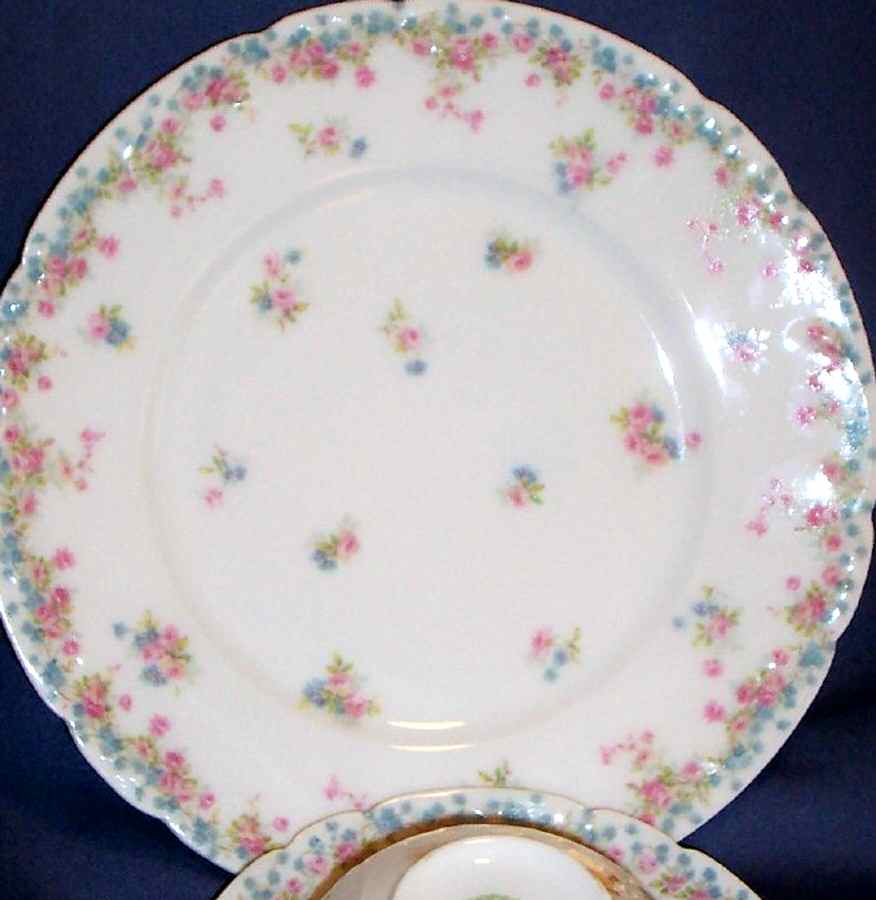 Schleiger 610-3 Salad Plate by Haviland-1