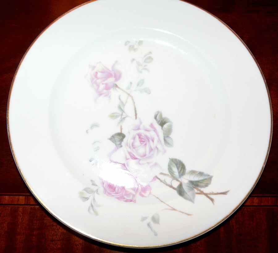 HUT2060 Dinner Plate by Hutschenreuther-1