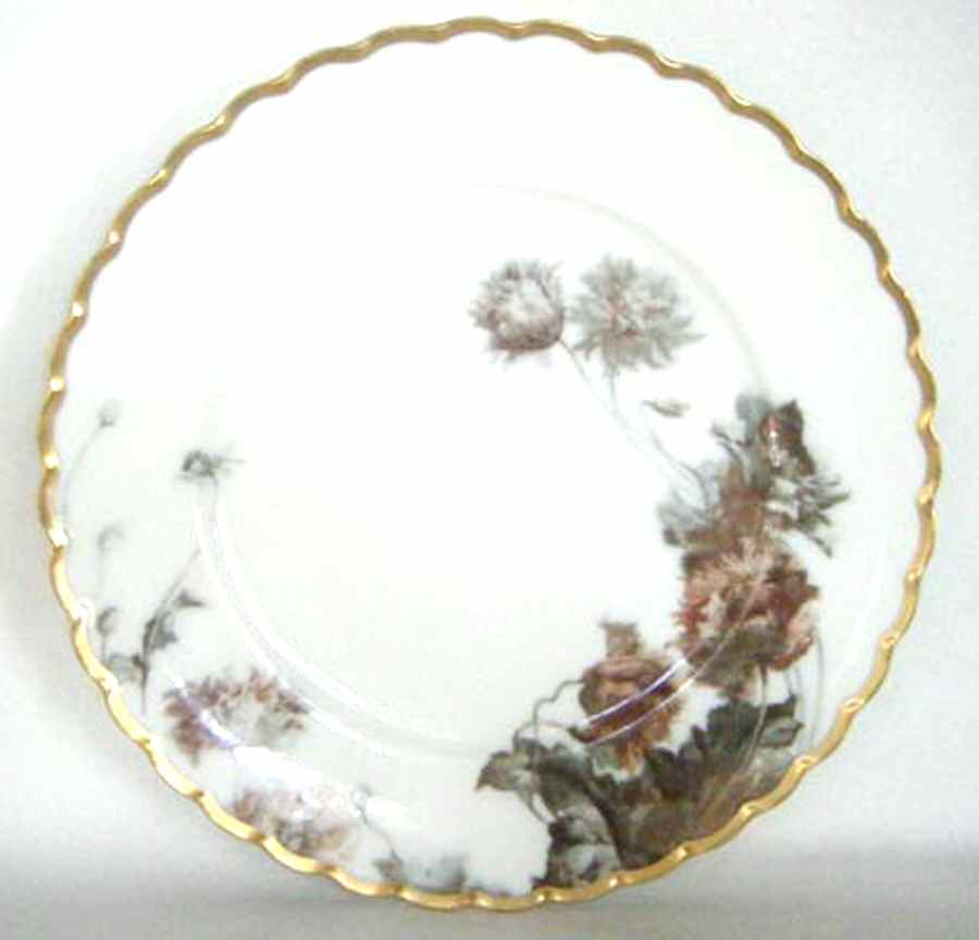 Flowers and Seeds (Blank 12) Dinner Plate by Haviland-1
