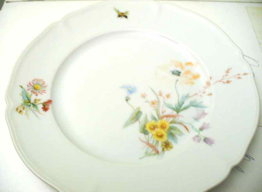 HUT2061 Dinner Plate by Hutschenreuther-1