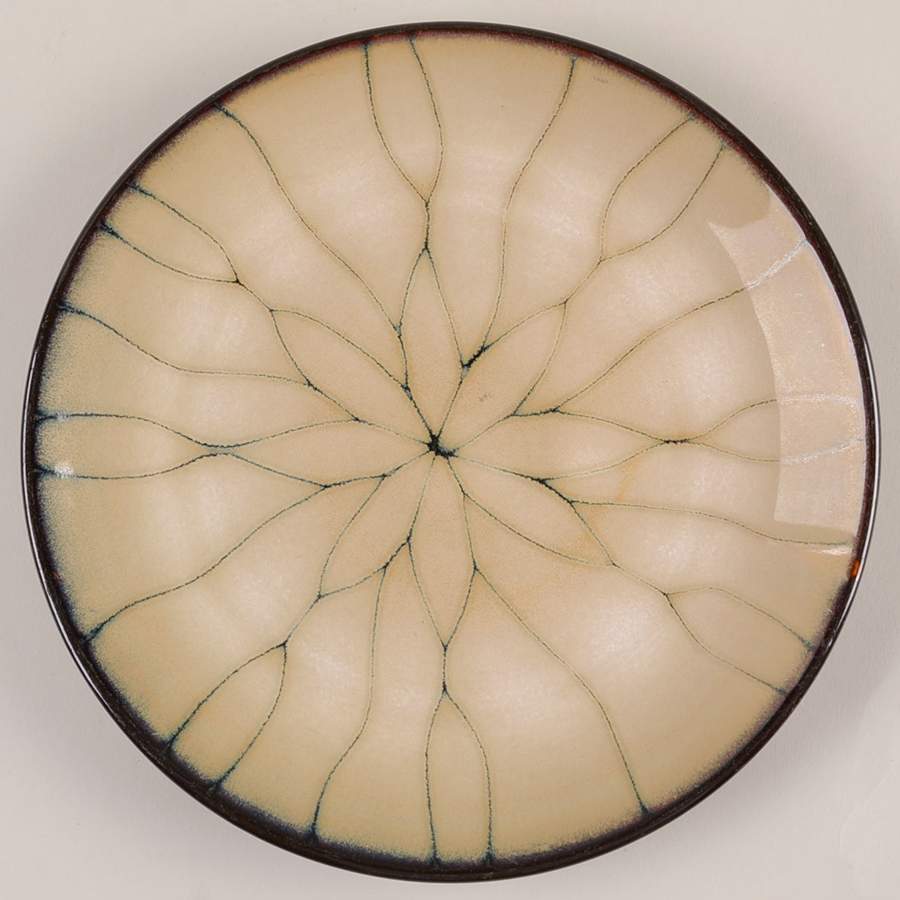 Sienna Salad Plate by Home-1