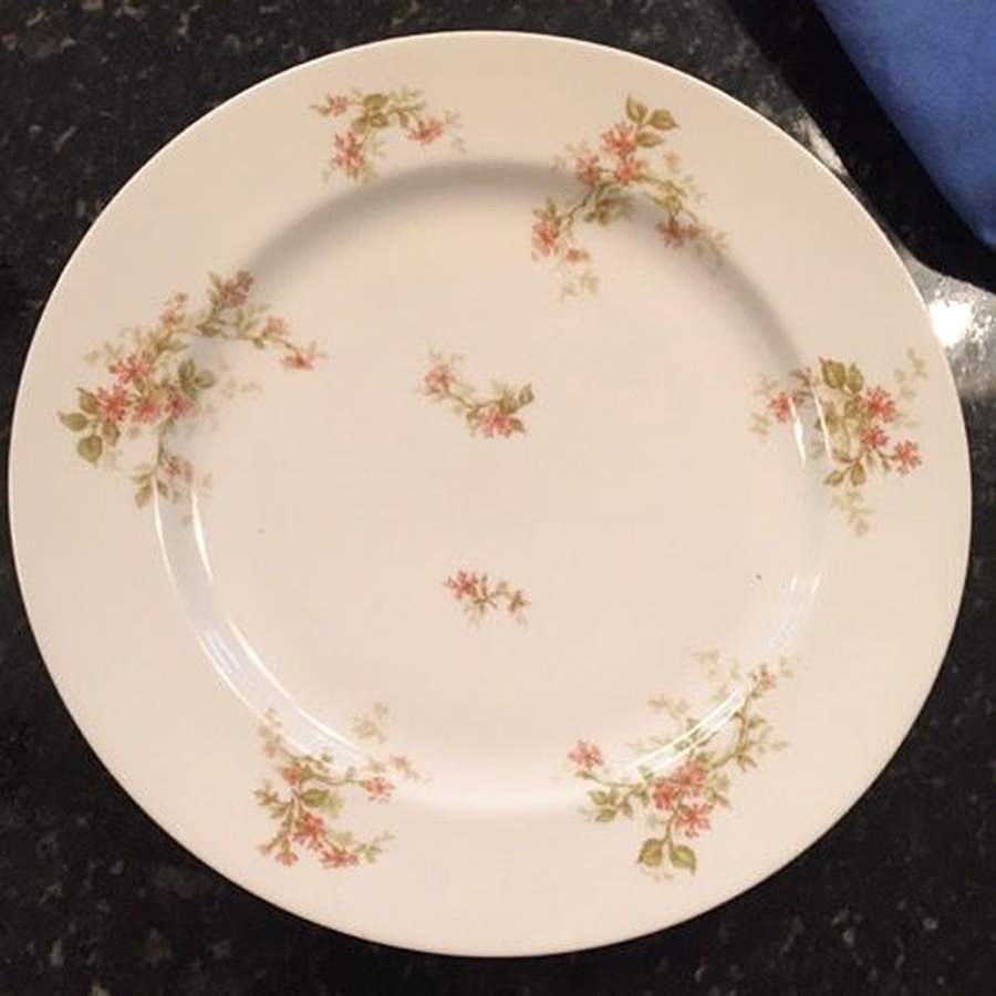 H4194 Dinner Plate by Haviland-1