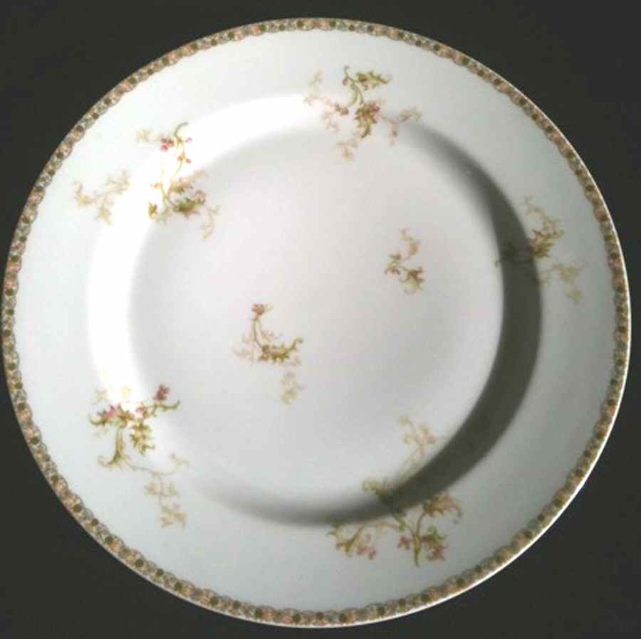 H4195 Dinner Plate by Haviland-1