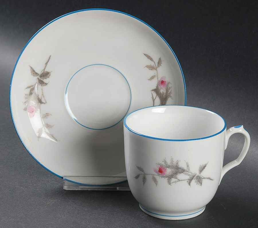 Moss Rose(Blue Trim, Gray Leaves) Flat Cup & Saucer Set by Haviland-1