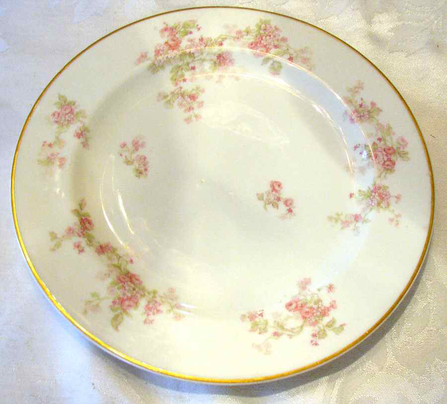 H4201 Dinner Plate by Haviland-1