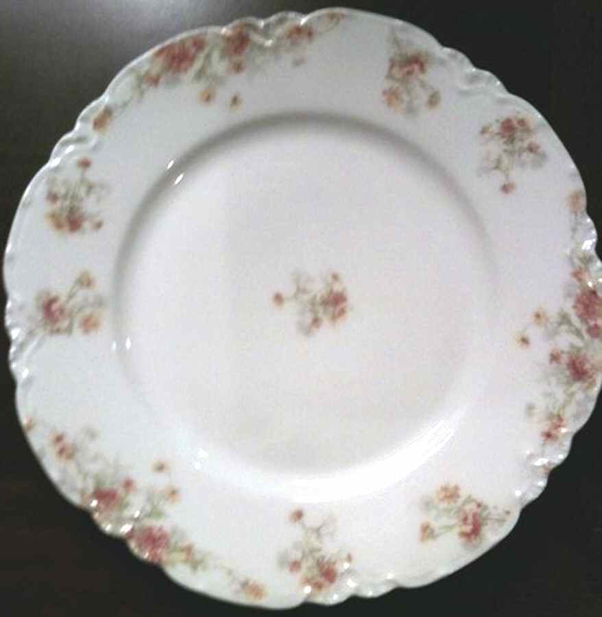 Schleiger 262-2 Dinner Plate by Haviland-1