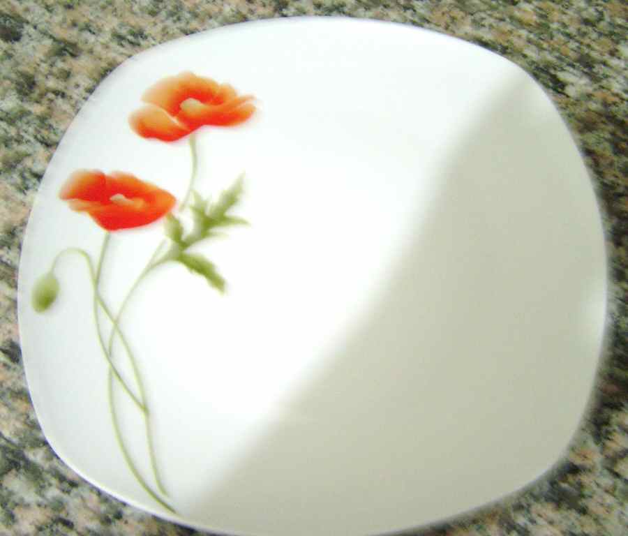 HDG1 Dinner Plate by Home Design-1