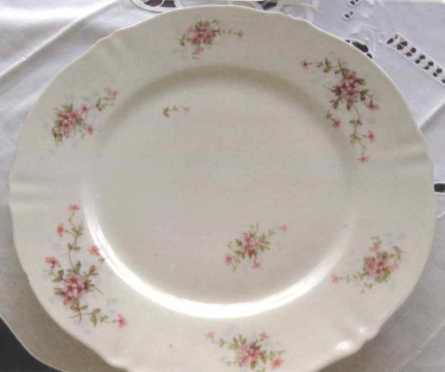 Schleiger 1021-5 Dinner Plate by Haviland-1