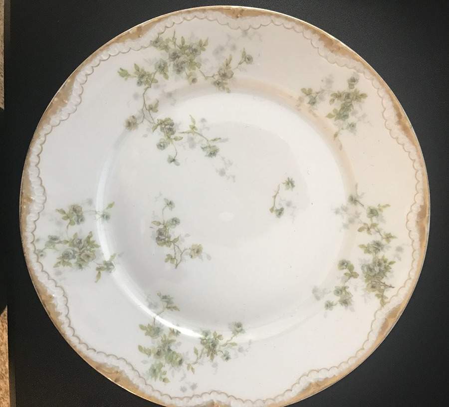 Schleiger 150-27 Dinner Plate by Haviland-1