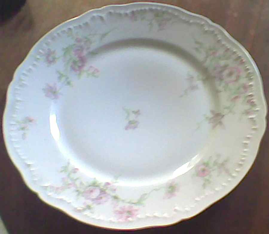 H4211 Dinner Plate by Haviland-1