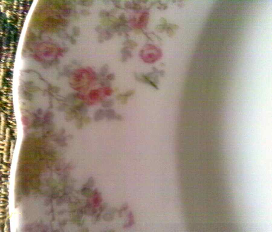 Schleiger 265-3 Dinner Plate by Haviland-1