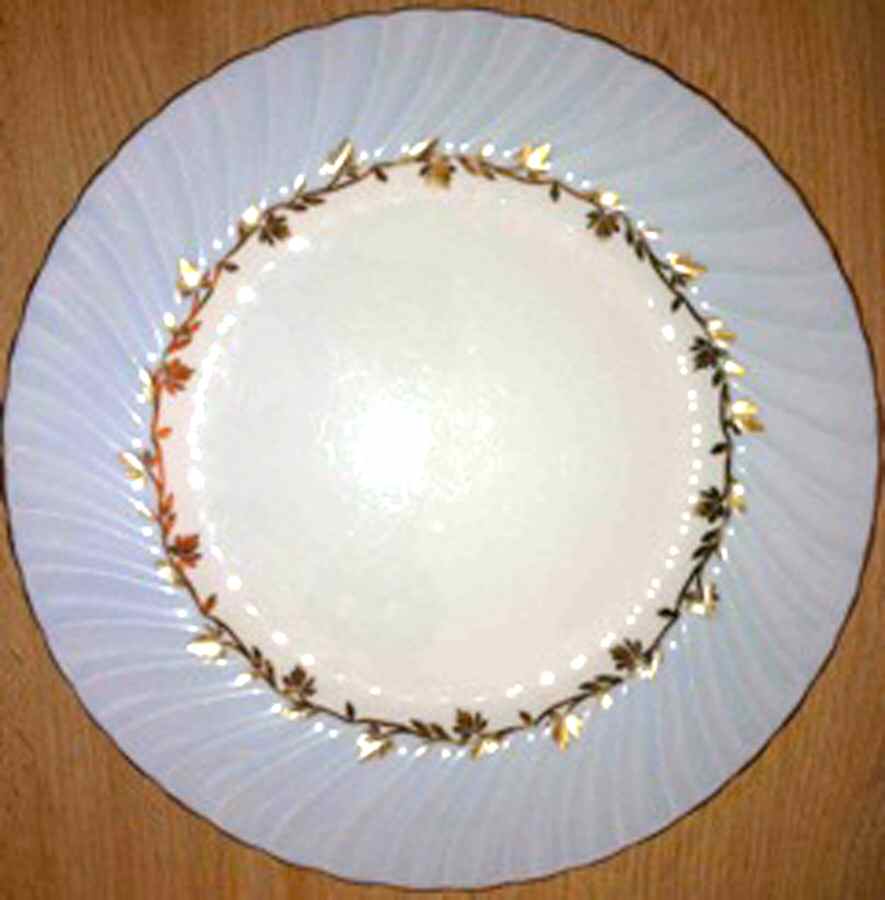5753 Dinner Plate by Heathcote-1