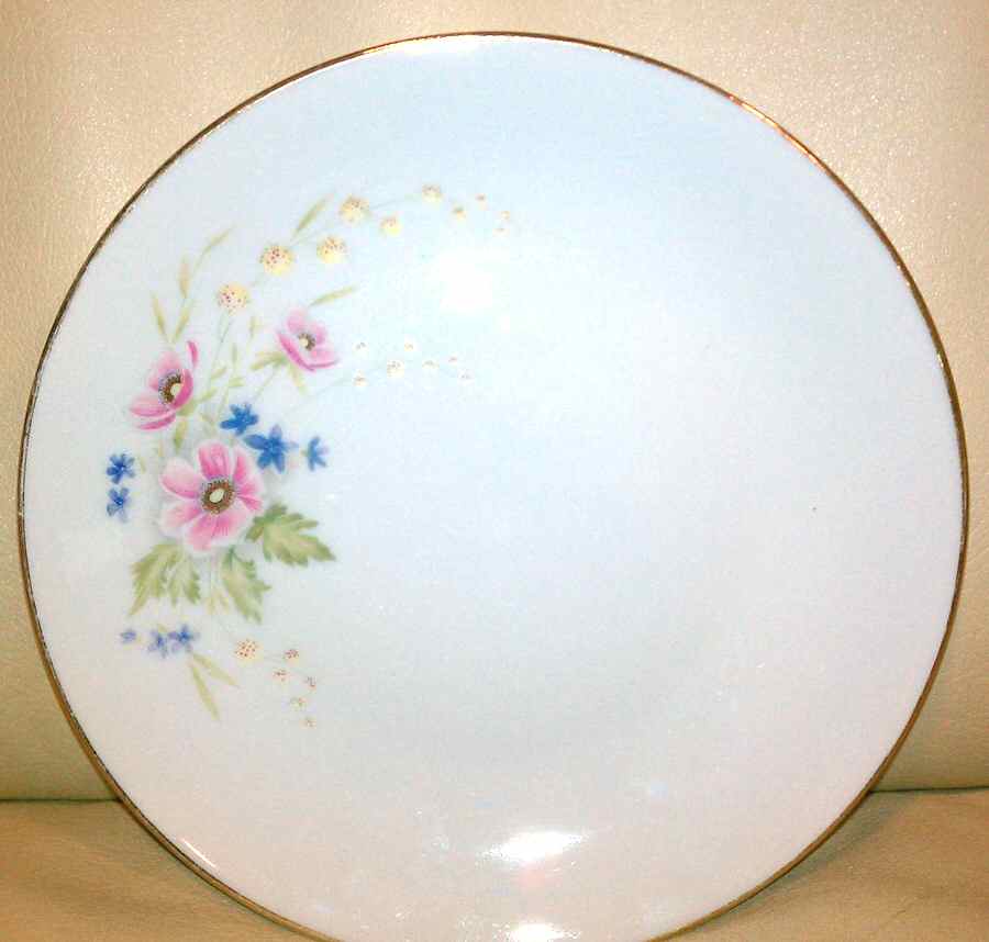 HUT2079 Dinner Plate by Hutschenreuther-1