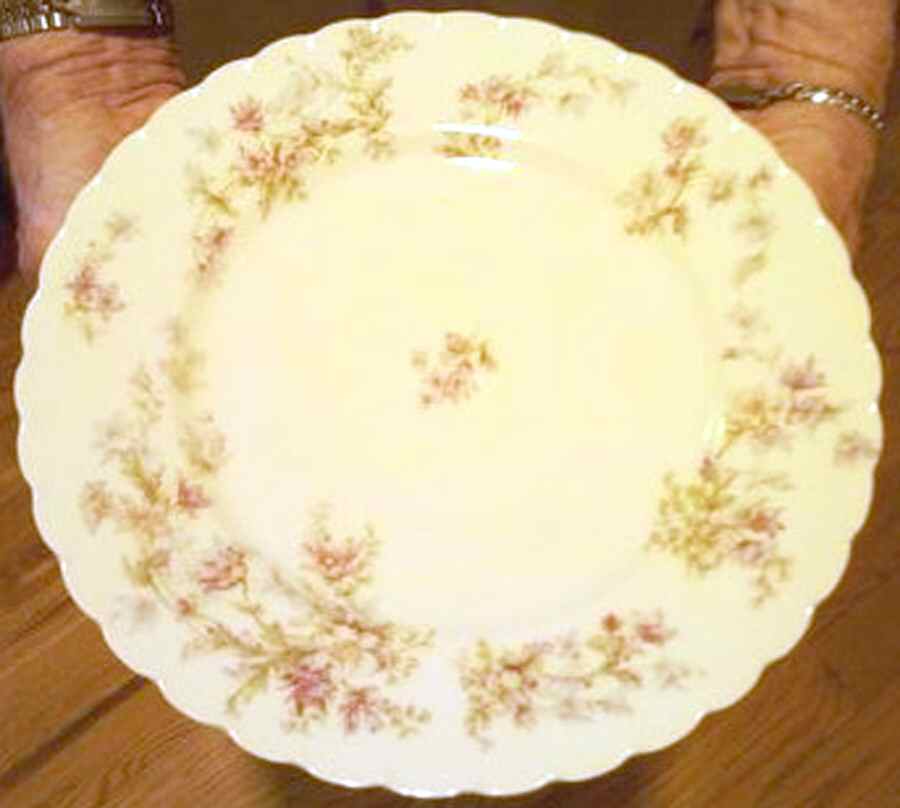 Schleiger 91-8 Dinner Plate by Haviland-1