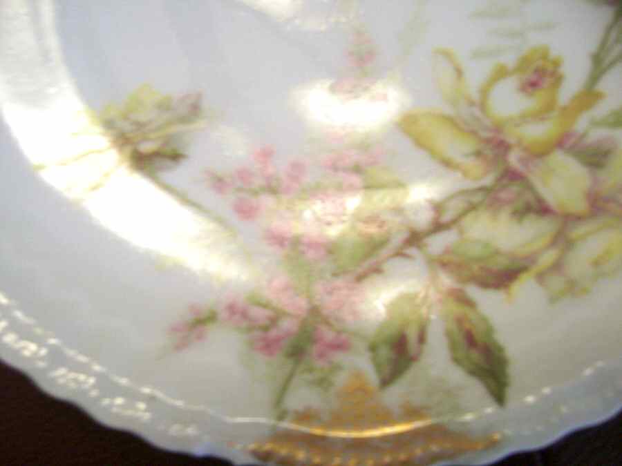 Schleiger 1234-4 Salad Plate by Haviland-1