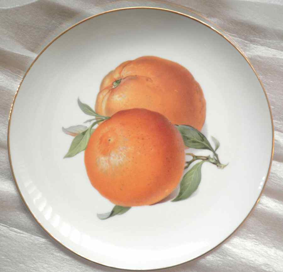 HUT2096 Salad Plate by Hutschenreuther-1