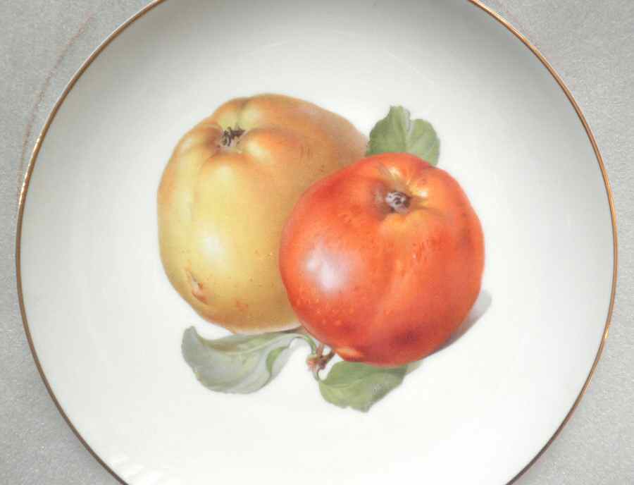 HUT2096 Salad Plate by Hutschenreuther-1