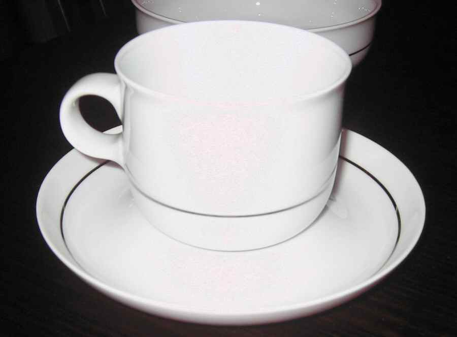 HUT2097 Flat Cup & Saucer Set by Hutschenreuther-1