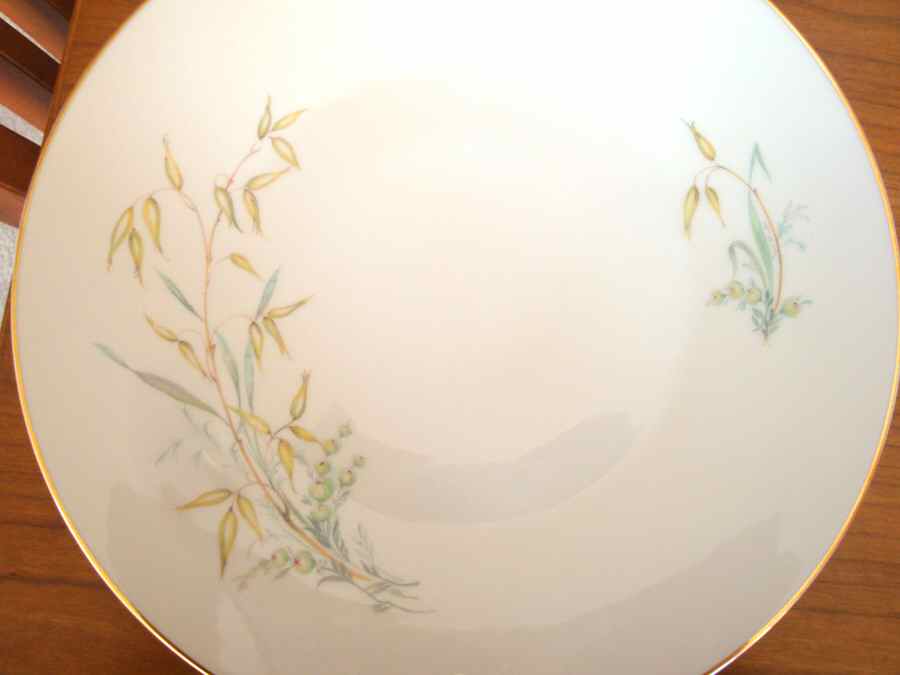 02906 Dinner Plate by Hutschenreuther-1