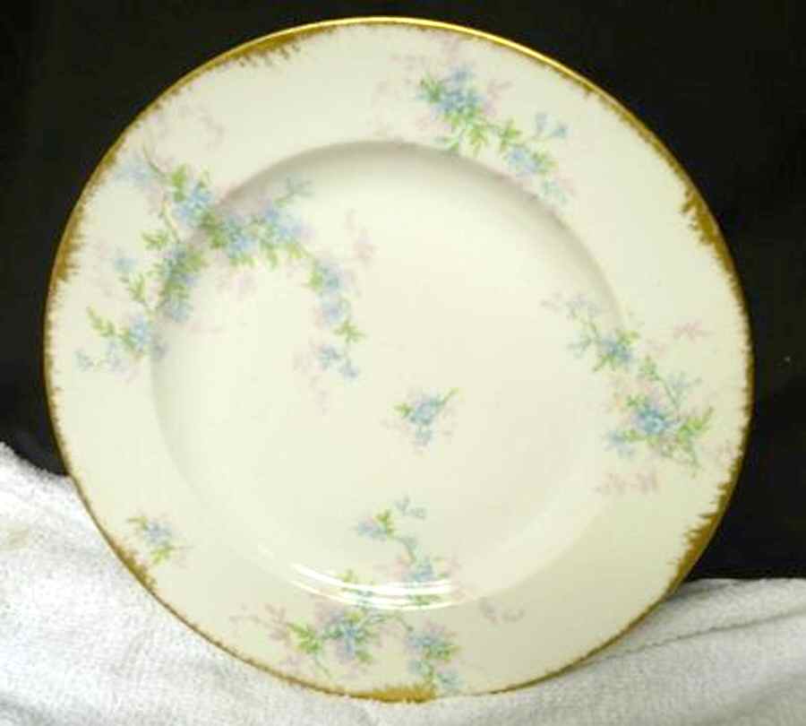 H4233 Dinner Plate by Haviland-1