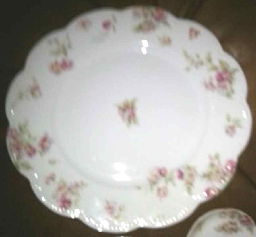 Schleiger 39-6 Dinner Plate by Haviland-1