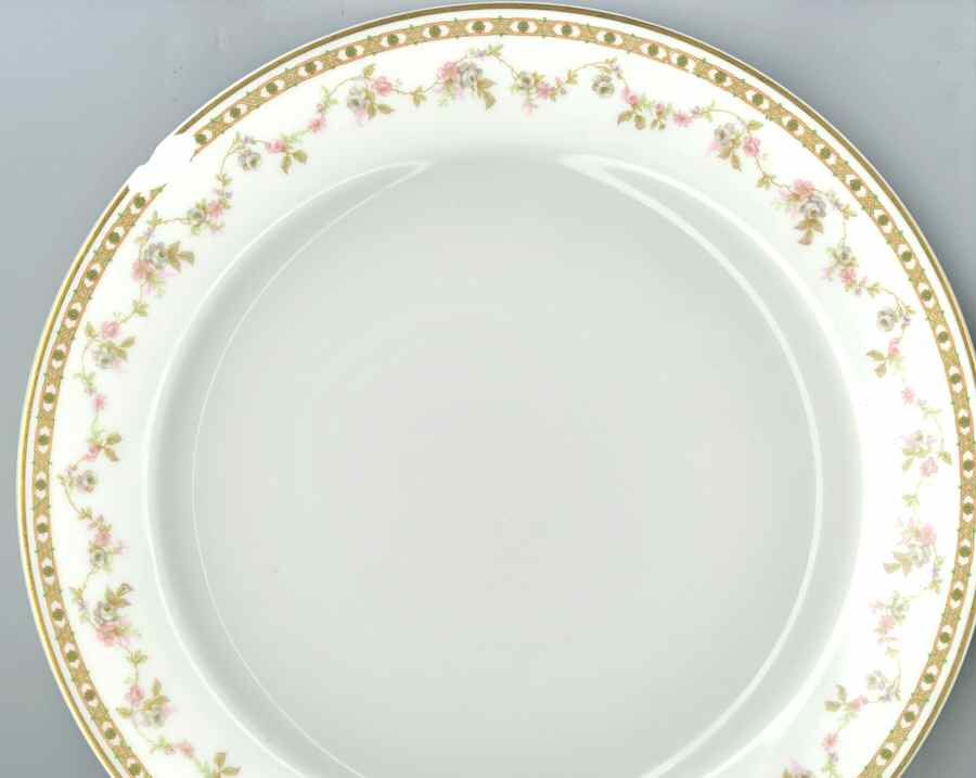 H4236 Dinner Plate by Haviland-1