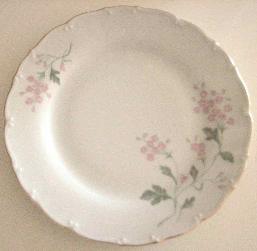 HCZ166 Dinner Plate by Haas-Czjzek Coronado-1