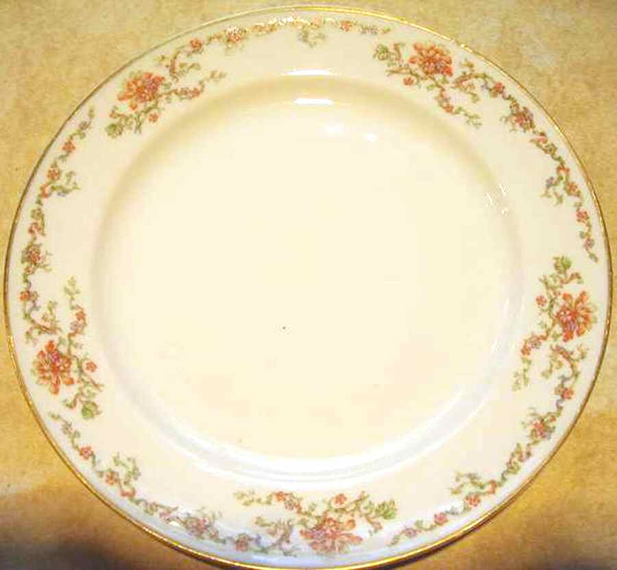 H4238 Dinner Plate by Haviland-1