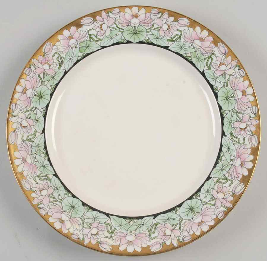 H4335 Dinner Plate by Haviland-1