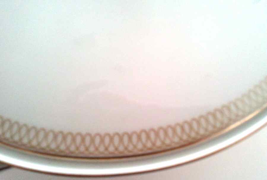 8730 Dinner Plate by Hutschenreuther-1