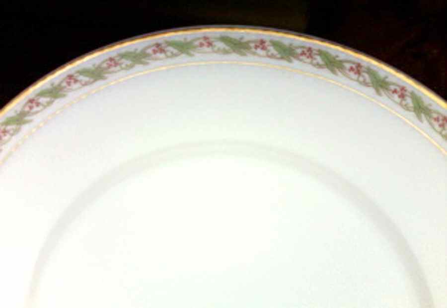 H4244 Luncheon Plate by Haviland-1