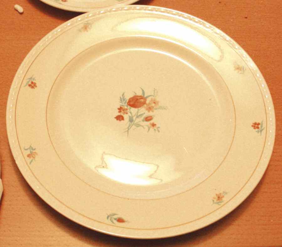 HLC2659 Dinner Plate by Homer Laughlin -1