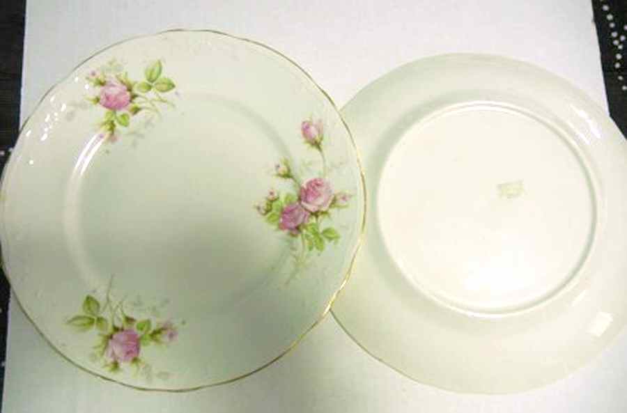 HRW22 Dinner Plate by HR Wyllie-1