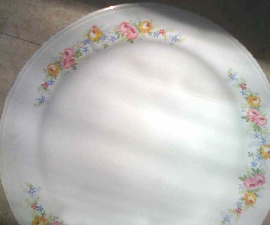 HLC3925 Dinner Plate by Homer Laughlin -1