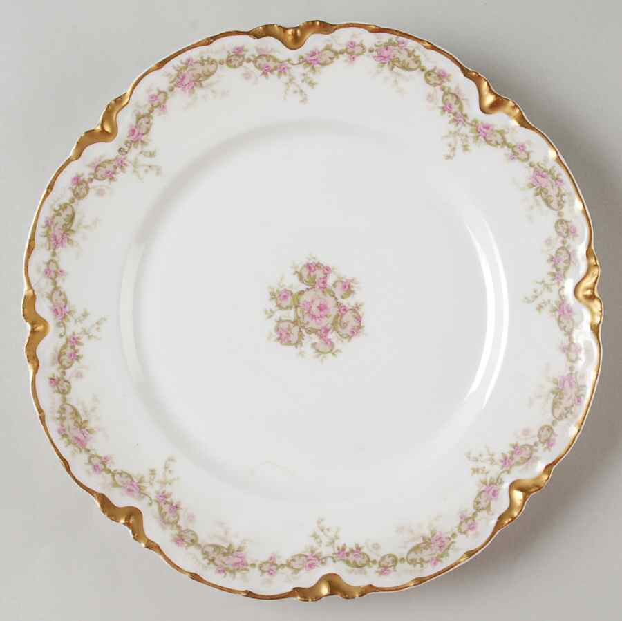 Schleiger 269-3 Dinner Plate by Haviland-1